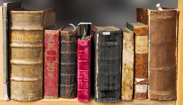 Libri antichi con copertina rigida su uno scaffale.